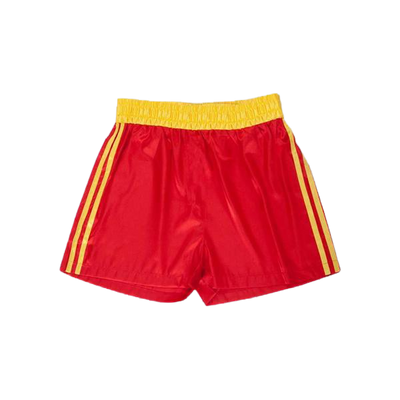 Dolph Lundgren Ivan Drago Rocky Movie Boxing Shorts All Sizes