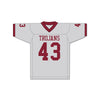 Troy Polamalu 43 Douglas High School Trojans Gray Football Jersey 2