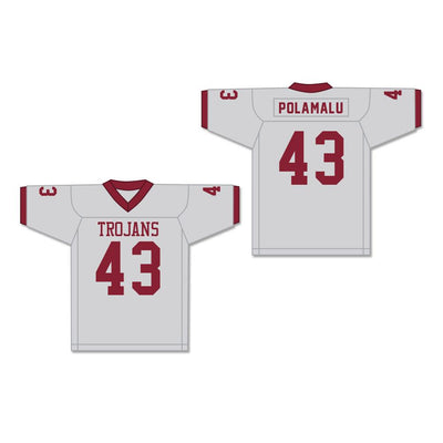 Troy Polamalu 43 Douglas High School Trojans Gray Football Jersey 2