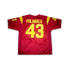 Troy Polamalu 43 California Red Football Jersey