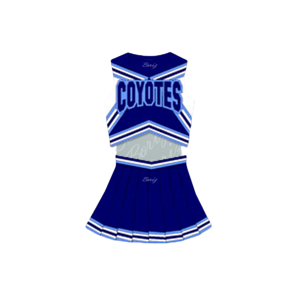 Varsity Blues Darcy Sears (Ali Larter) West Canaan High School Coyotes Cheerleader Uniform Stitch Sewn