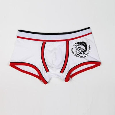 10pcs/lot men Newest Underwear Mesh boxer Sexy cotton Cuecas Boxers Mesh shorts Gay Underwear Man male boy underpants slip ET49